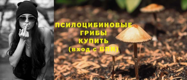 гашиш Инта