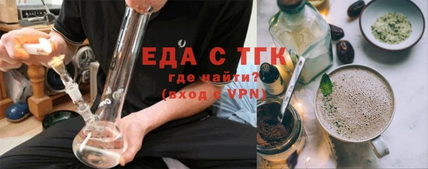 СК Ельня