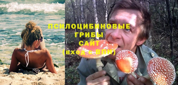 герыч Шали